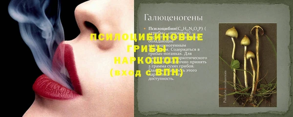 спайс Абаза