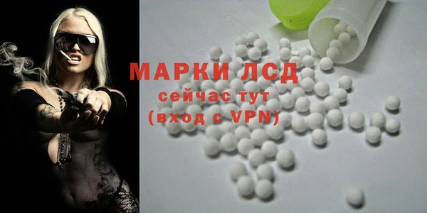 СК Абинск