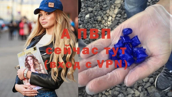 СК Абинск