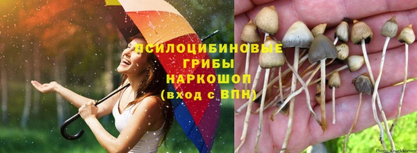 спайс Абаза